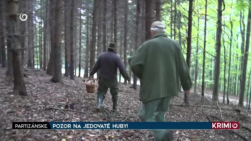 POZOR NA JEDOVATÉ HUBY!