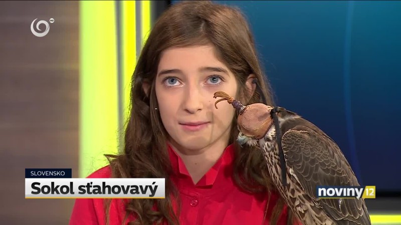 Najrýchlejší živočích sveta bol v našom štúdiu