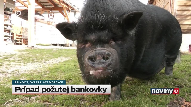 Prípad požutej bankovky