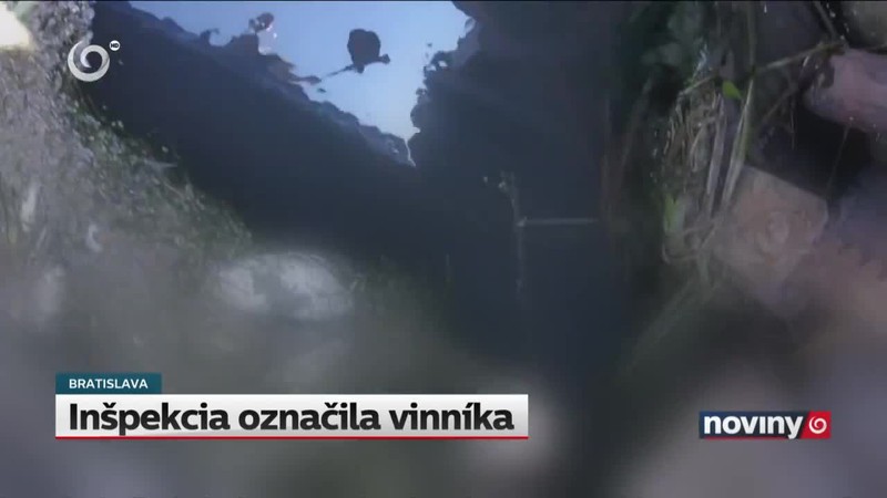 Inšpekcia označila vinníka