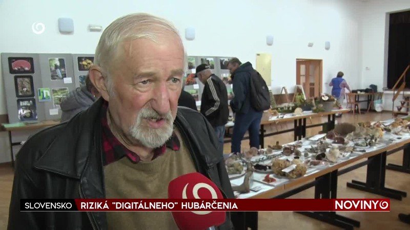 RIZIKÁ "DIGITÁLNEHO" HUBÁRČENIA