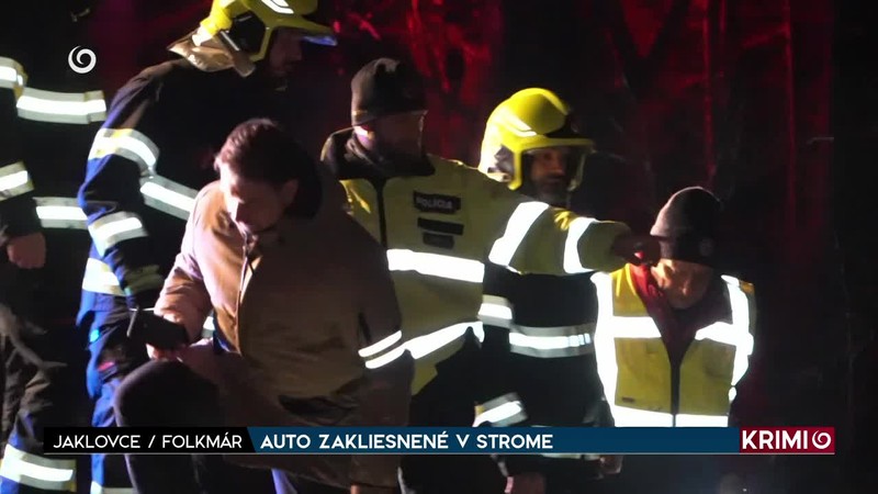 AUTO ZAKLIESNENÉ V STROME