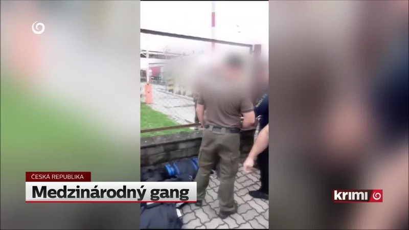 Medzinárodný gang