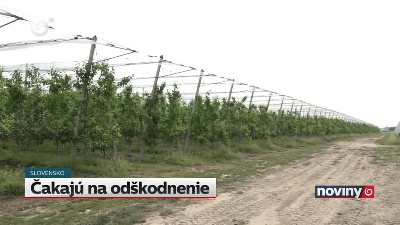 Čakajú na odškodnenie