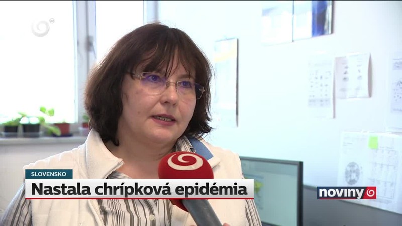 Nastala chrípková epidémia