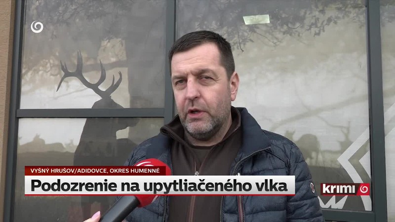 Podozrenie na upytliačeného vlka