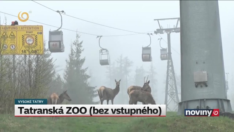Tatranská ZOO (bez vstupného)