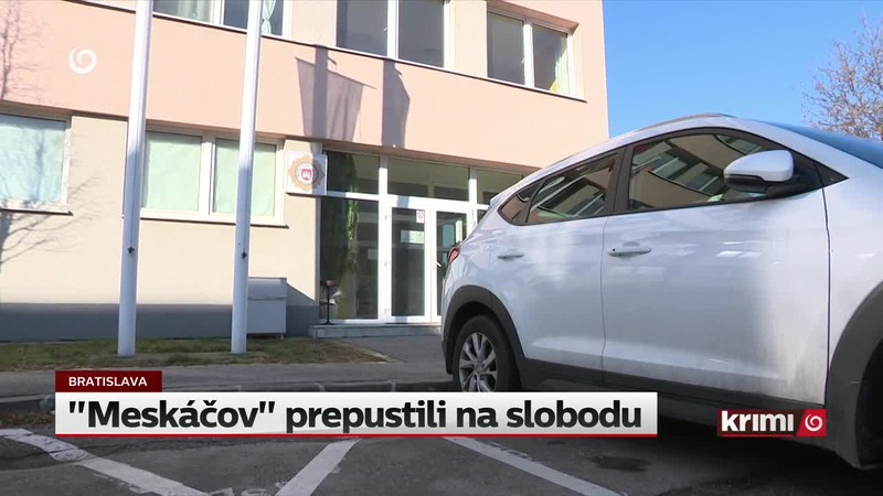 "Meskáčov" prepustili na slobodu