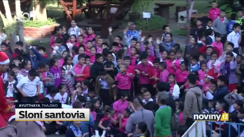Sloní santovia
