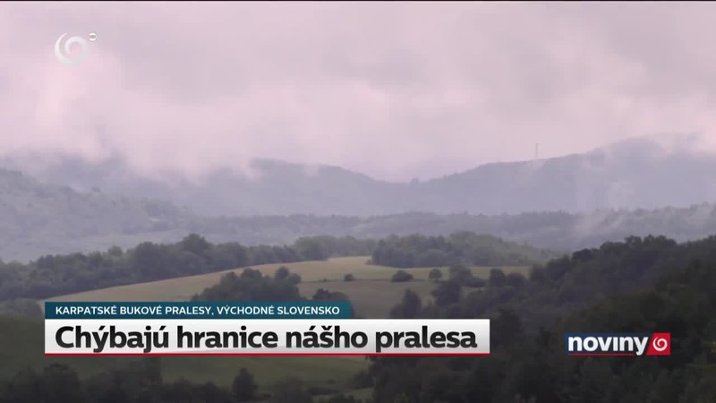 Chýbajú hranice nášho pralesa
