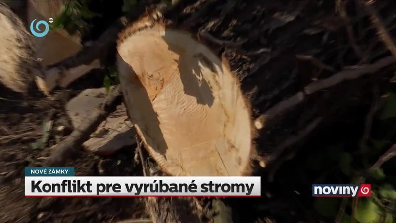 Konflikt pre vyrúbané stromy