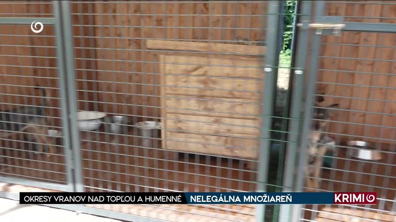 NELEGÁLNA MNOŽIAREŇ