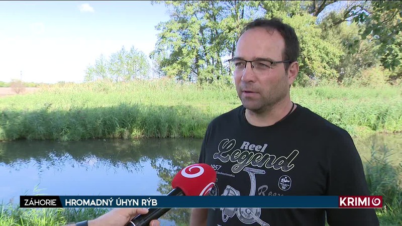 HROMADNÝ ÚHYN RÝB /