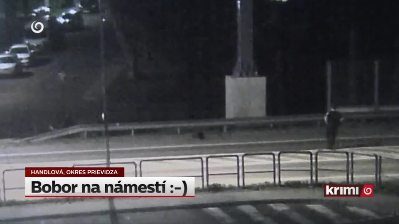 Bobor na námestí :-)