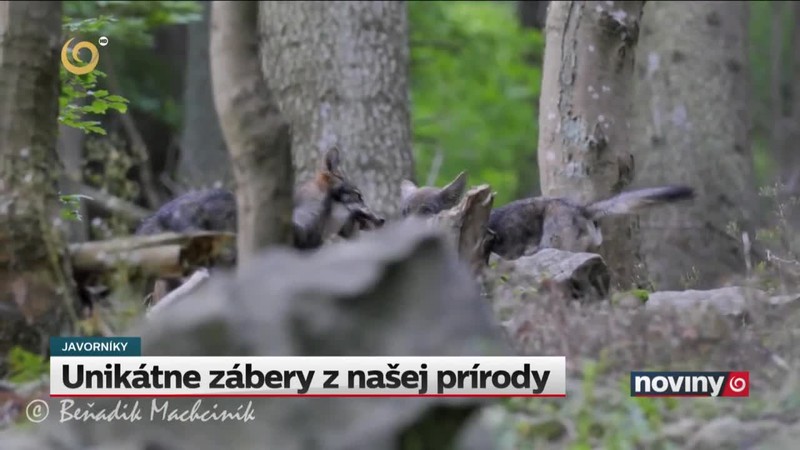 Unikátne zábery z našej prírody