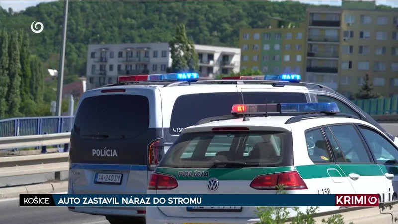 AUTO ZASTAVIL NÁRAZ DO STROMU