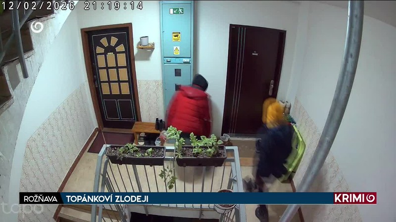 TOPÁNKOVÍ ZLODEJI