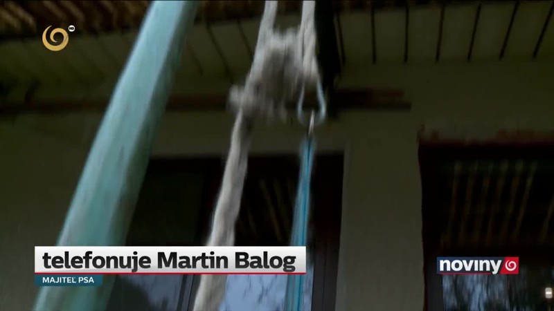 Trest pre zlodejov psa