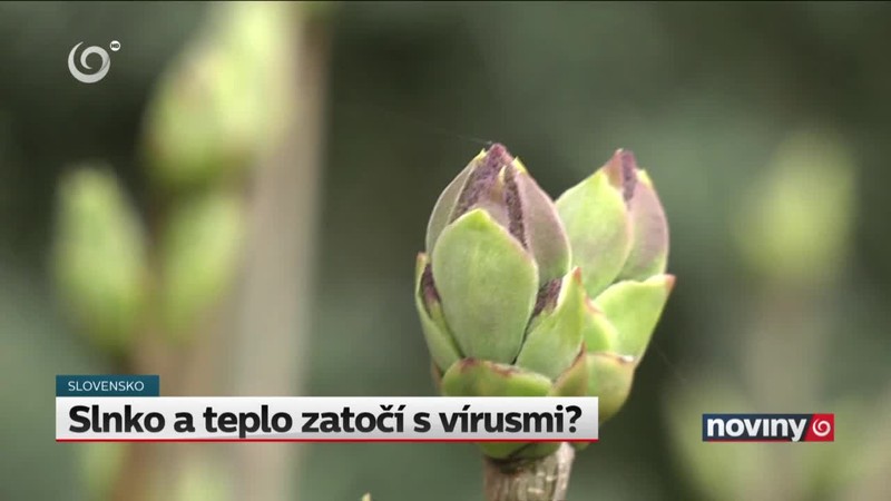 Slnko a teplo zatočí s vírusmi?