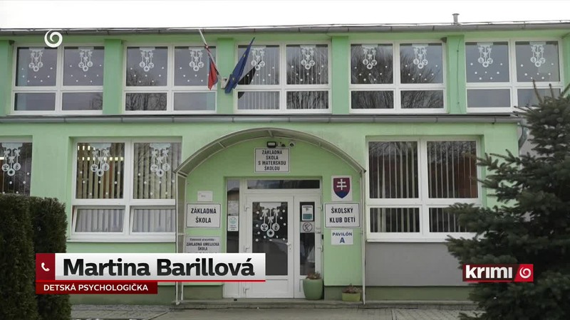 Šikana na základnej škole
