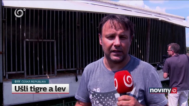 Ušli tigre a lev
