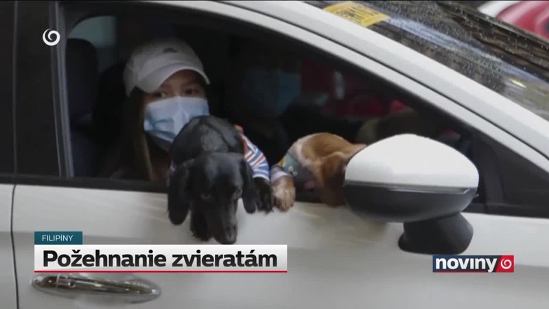 Požehnanie zvieratám