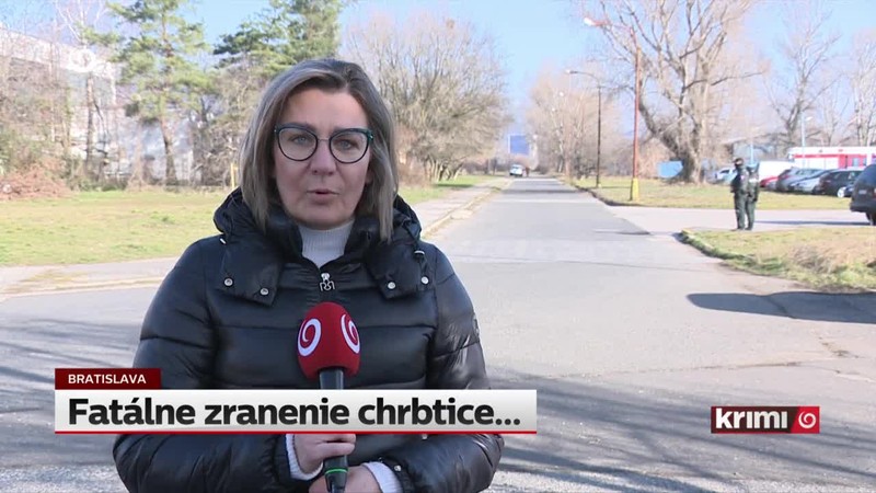 Fatálne zranenie chrbtice...
