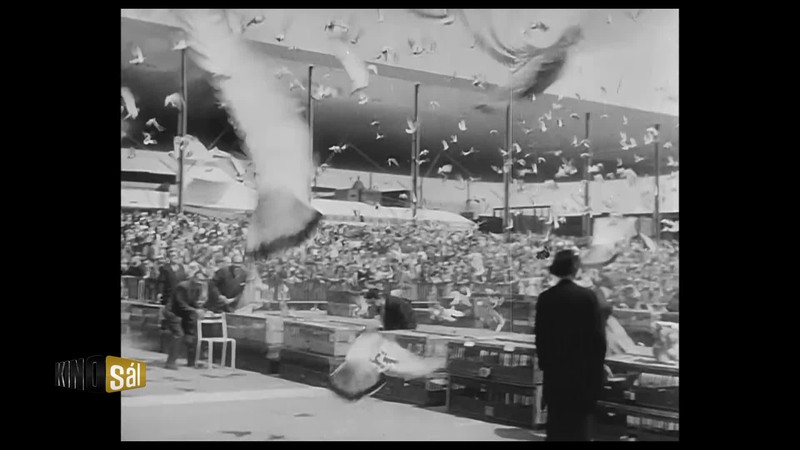 KINOSÁL - EP12 (CZ)