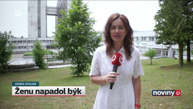Ženu napadol býk
