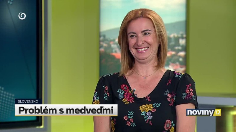 Problém s medveďmi