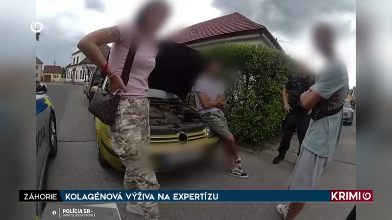 KOLAGÉNOVÁ VÝŽIVA NA EXPERTÍZU