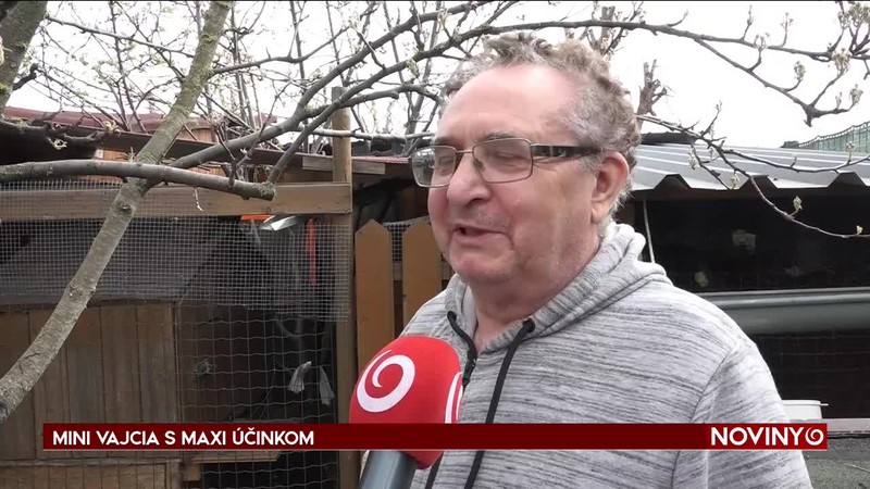 MINI VAJCIA S MAXI ÚČINKOM