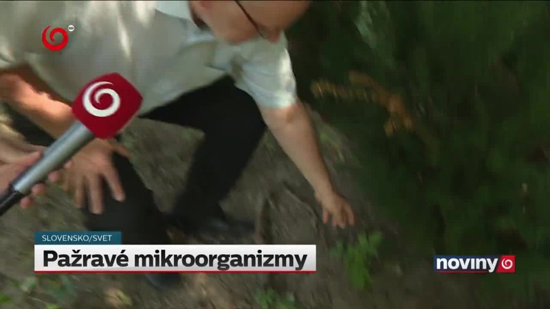 Pažravé mikroorganizmy
