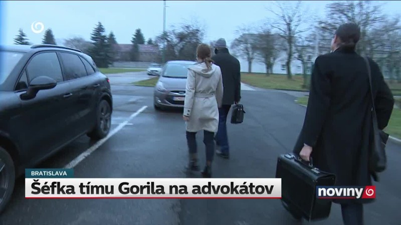 Šéfka tímu Gorila na advokátov