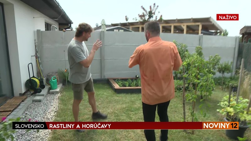 Rastliny a horúčavy