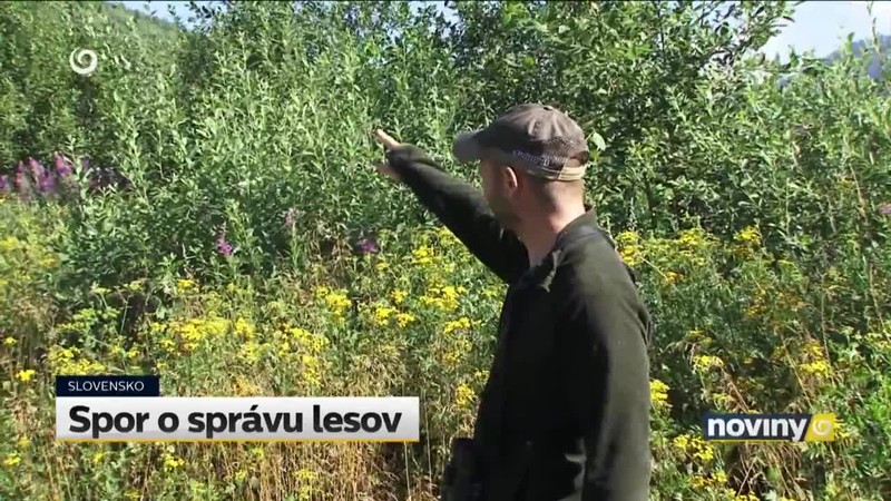 Spor o správu lesov