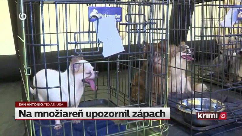 Na množiareň upozornil zápach