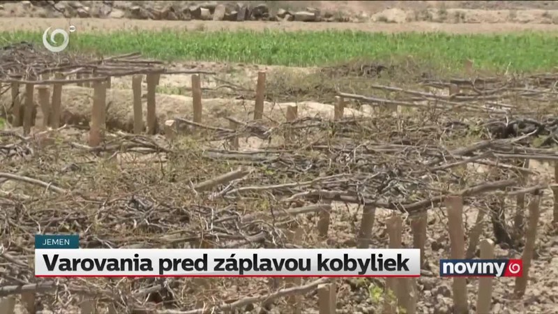 Varovania pred záplavou kobyliek