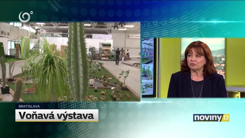 Začína sa výstava Flóra