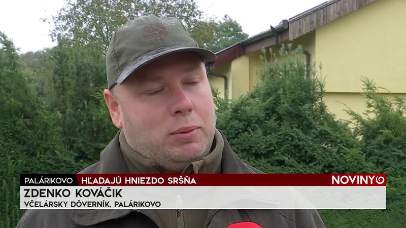 HĽADAJÚ HNIEZDO SRŠŇA