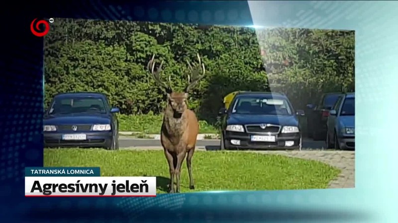 Ústavný súd zamietol Kočnera