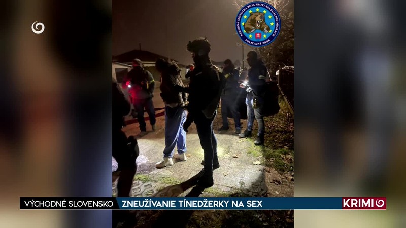 ZNEUŽÍVANIE TÍNEDŽERKY NA SEX