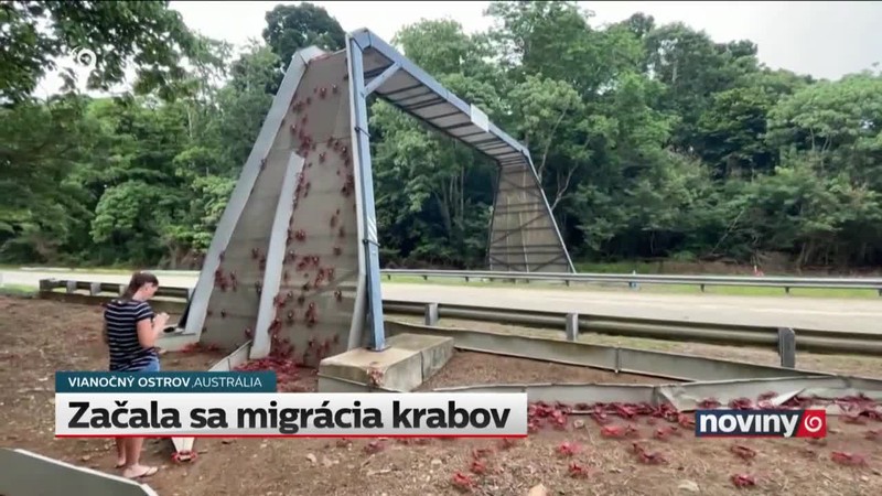 Začala sa migrácia krabov