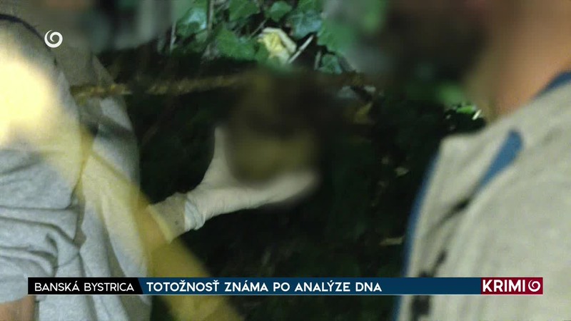 TOTOŽNOSŤ ZNÁMA PO ANALÝZE DNA
