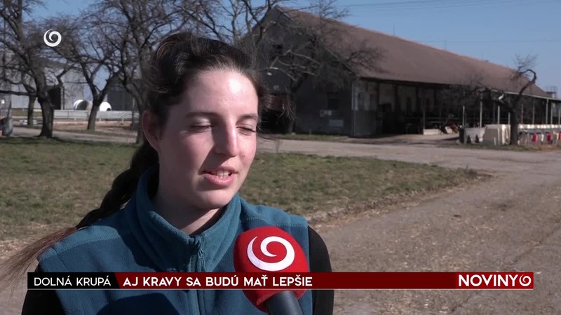 AJ KRAVY SA BUDÚ MAŤ LEPŠIE