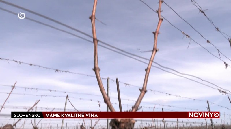 MÁME KVALITNÉ VÍNA