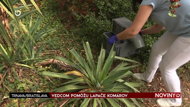 VEDCOM POMÔŽU LAPAČE KOMÁROV