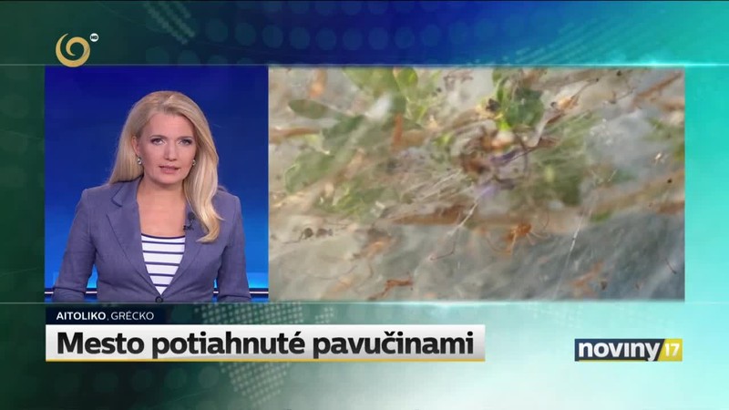 Mesto potiahnuté pavučinami