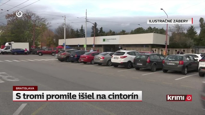 S tromi promile išiel na cintorín
