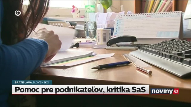 Pomoc pre podnikateľov, kritika SaS